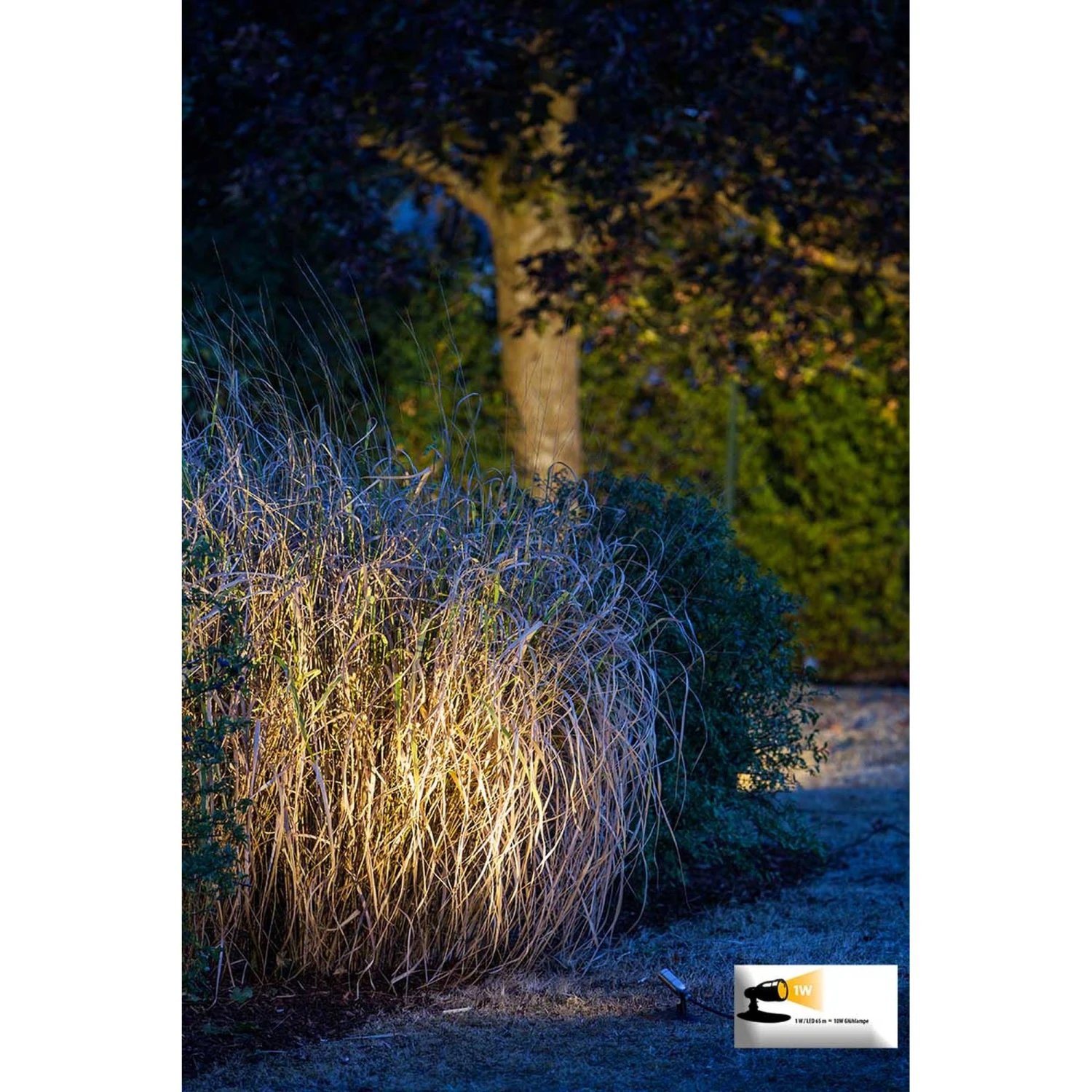 Heissner L421-00 LED Smart Light Spot 1 Watt Silber 2 Heissner L421-00 LED Smart Light Spot 1 Watt Silber – Bild 2